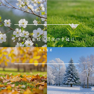 婷婷中文字幕在线观看
