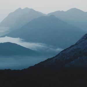 婷婷中文字幕在线观看
